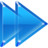 Right Arrows Icon